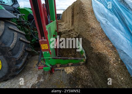 Face de la pince d'ensilage, montrant différentes couches de récolte. Rietberg, Rhénanie du Nord-Westphalie, Allemagne Banque D'Images