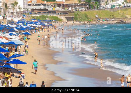 Salvador, Bahia, Brésil - 09 novembre 2019 : on voit des touristes s'amuser et se baigner dans la mer sur la plage. Ville de Salvador, Bahia. Banque D'Images