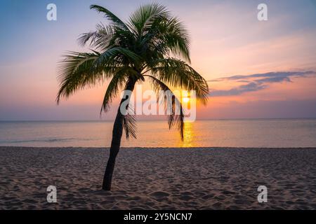 Un palmier solitaire sur une plage de sable sur fond d'un coucher de soleil lumineux Banque D'Images