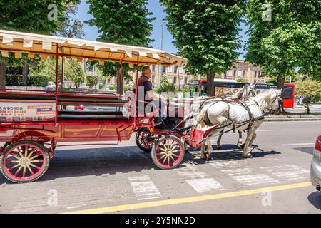 Messina Sicile Italie, via Giuseppe Garibaldi, extérieur, conducteur de chariot tiré par cheval, guide de l'homme, sicilien, italien Europe européenne UE, visiteur Banque D'Images