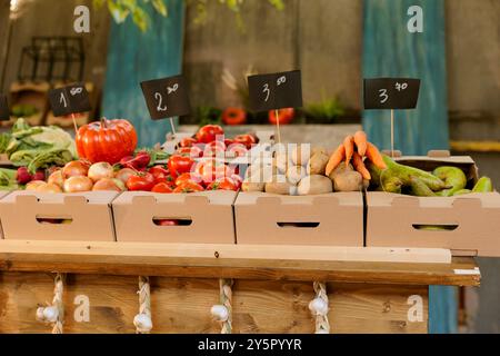 Produits biologiques écologiques naturels dans des boîtes en carton au kiosque de foire des récoltes agricoles. Divers fruits et légumes bio fraîchement récoltés sont exposés aux stands vides du marché des agriculteurs. Banque D'Images
