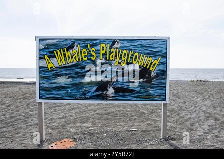 Un panneau de jeu de baleine sur la plage en un Vincent's–parfait Stephen's–Peter's River, Terre-Neuve-et-Labrador, Canada Banque D'Images