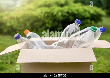 Recyclage. Bouteilles en plastique dans une boîte en carton à l'extérieur Banque D'Images