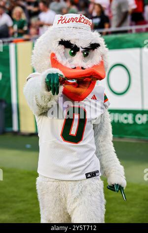 Tampa, Floride, États-Unis. 21 septembre 2024. La mascotte des Miami Hurricanes SEBASTIAN THE IBIS sur la touche lors du match de football universitaire entre les Miami Hurricanes et les South Florida Bulls le 21 septembre 2024 au Raymond James Stadium de Tampa, Floride. (Crédit image : © Israel Anta via ZUMA Press Wire) USAGE ÉDITORIAL SEULEMENT! Non destiné à UN USAGE commercial ! Banque D'Images