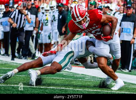 Bloomington, États-Unis. 21 septembre 2024. Elijah Sarratt (13 ans), receveur des Hoosiers de l'Indiana, fait une prise contre Charlotte lors d'un match de football de la NCAA au Memorial Stadium de Bloomington. Le score final est Indiana 52 et Charlotte 14. (Photo de Jeremy Hogan/SOPA images/Sipa USA) crédit : Sipa USA/Alamy Live News Banque D'Images