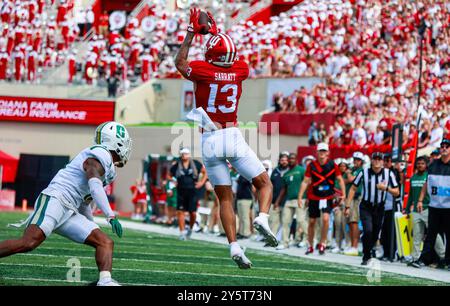 Bloomington, États-Unis. 21 septembre 2024. Elijah Sarratt (13 ans), receveur des Hoosiers de l'Indiana, fait une prise contre Charlotte lors d'un match de football de la NCAA au Memorial Stadium de Bloomington. Le score final est Indiana 52 et Charlotte 14. (Photo de Jeremy Hogan/SOPA images/Sipa USA) crédit : Sipa USA/Alamy Live News Banque D'Images