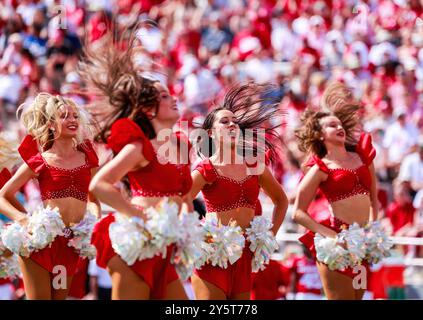 Bloomington, États-Unis. 21 septembre 2024. Les Redsteppers de l'université de l'Indiana jouent lors d'un match de football NCAA contre Charlotte au Memorial Stadium de Bloomington. Le score final est Indiana 52 et Charlotte 14. (Photo de Jeremy Hogan/SOPA images/Sipa USA) crédit : Sipa USA/Alamy Live News Banque D'Images