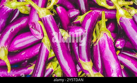 Aubergines biologiques fraîches en gros plan. aubergines violettes sur les marchés traditionnels. Banque D'Images