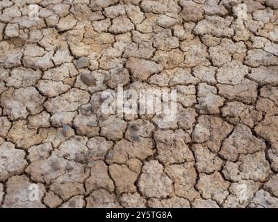 Ausgetrockneter Boden auf einem Feld, sol séché dans un champ, NRW, Deutschland Banque D'Images