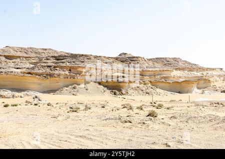 BU Salwa Shelf Hills Desert paysage avec des hilocks de calcaire en arrière-plan, Qatar Banque D'Images