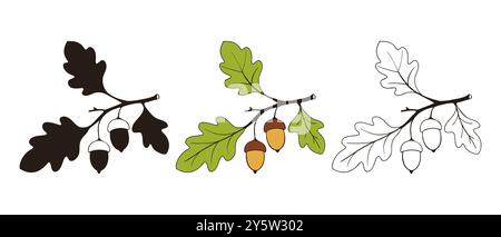 Branche de chêne avec des feuilles et des glands, dessin d'ensemble d'icônes, contour lineart et silhouette. Isolé sur fond blanc. Illustration vectorielle Illustration de Vecteur
