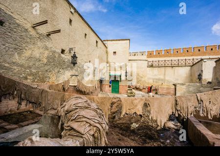 Tannerie, Médina de Tetuan , Patrimoine mondial de l'UNESCO, Maroc, Afrique du Nord, continent africain Banque D'Images