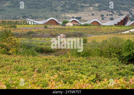 Bodega Ysios, vignoble en automne, Laguardia , Alava, pays Basque, Espagne Banque D'Images