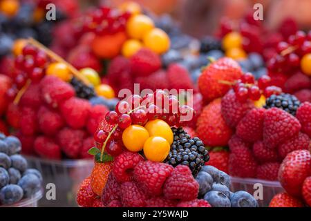 Paniers avec des baies juteuses fraîches sur le marché de rue. Fond de baies (framboise, myrtille, fraise, cassis rouge, mûre, baie dorée). Banque D'Images