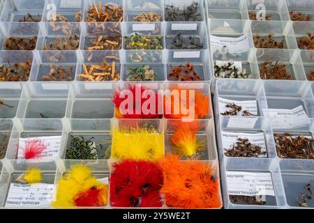 Boîte de matériaux synthétiques pour l'artisanat de mouche nouage, également appelé habillage de mouche, pour les pêcheurs de pêche à la mouche pêche à la ligne, Royaume-Uni Banque D'Images
