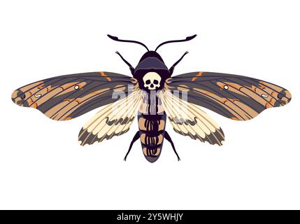 Papillon volant vecteur. Hawk Moth tête morte. Symbole de mysticisme, occultisme, magie. Teigne colorée sur un fond blanc. Illustration de Vecteur