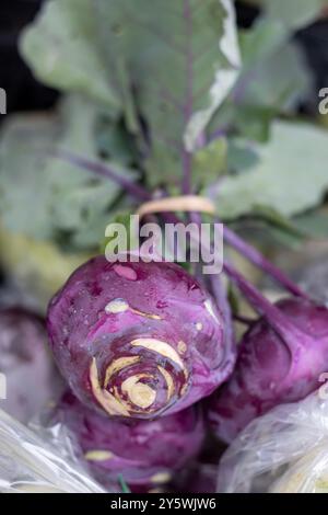 Gros plan de chou-rave violet avec des feuilles sur un marché fermier Banque D'Images