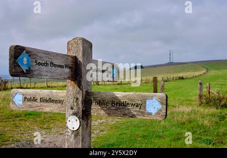 South Downs Way à Firle Beacon. Près de Lewes, East Sussex, Angleterre. Banque D'Images