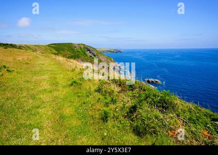 En suivant un sentier à peine visible à travers les sommets des falaises de l'Anthony Head lors d'un après-midi d'été à Cornwall. Banque D'Images