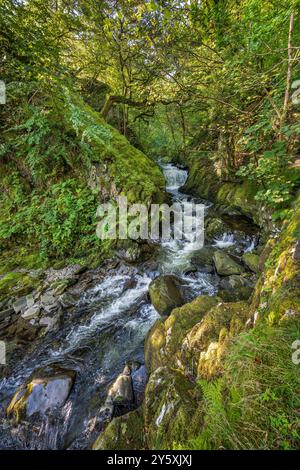 La cascade de Ceunant Mawr ou la cascade du grand ravin au-dessus de Llanberis dans le nord du pays de Galles également connue sous le nom de chutes de Llanberis. Banque D'Images