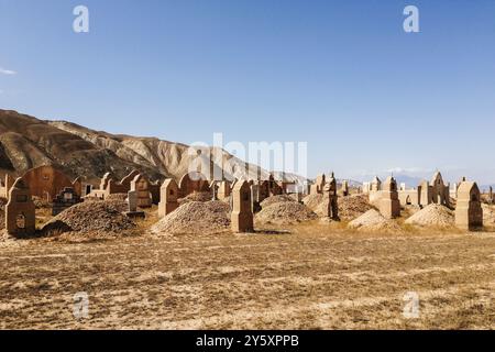 Kirghizistan, environs de Naryn, cimetière local Banque D'Images