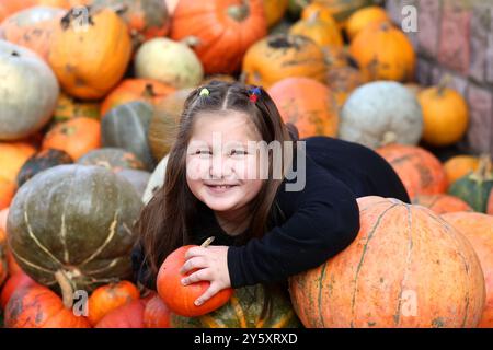 Une fille dans un pull chaud en dentelle sur un tas de citrouilles de différentes couleurs, tailles et formes avec des chrysanthèmes et un chat au gingembre. Scène rurale de prépara Banque D'Images