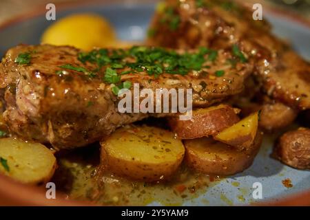 longe de lama avec pommes de terre, sauce épicée et oignons verts. Cuisine traditionnelle Argentine à Jujuy, Argentine Banque D'Images