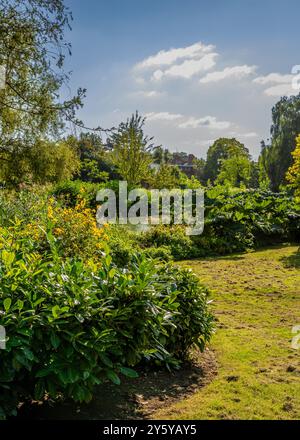 Beau paysage vibrant dans Jephson Gardens, Leamington Spa, Royaume-Uni. Banque D'Images