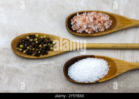 Trois cuillères en bois disposées sur une tuile neutre. Cuillères remplies de sel de bretzel, de grains de poivre entiers et de sel de l'himalaya. Banque D'Images