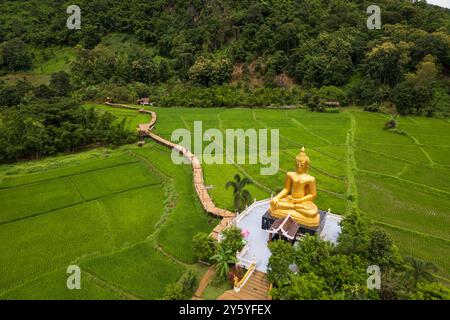 Vue aérienne du temple Na Khuha entouré d'un champ de riz vert, Phrae, Thaïlande Banque D'Images
