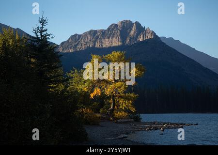 La lumière du soleil illumine les hauteurs de Never Laughs Mountain et souligne la couleur automnale sur les arbres le long du lac Two Medicine, parc national des glaciers, MT. Banque D'Images