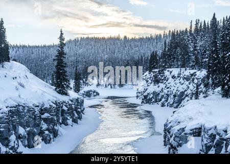 Magnifique canyon Miles le long du fleuve Yukon à l'extérieur de Whitehorse dans le nord du Canada, territoire du Yukon. Pris en hiver avec jour lumineux, neigeux Banque D'Images