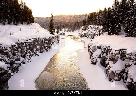 Magnifique canyon Miles le long du fleuve Yukon à l'extérieur de Whitehorse dans le nord du Canada, territoire du Yukon. Pris en hiver avec jour lumineux, neigeux Banque D'Images