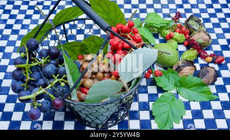 Un panier avec des fruits sauvages sur un fond de mosaïque. Banque D'Images