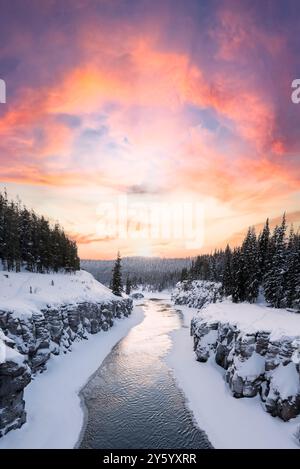 Magnifique canyon Miles le long du fleuve Yukon à l'extérieur de Whitehorse dans le nord du Canada, territoire du Yukon. Temps d'hiver avec jour lumineux, paysage enneigé Banque D'Images