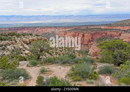 Highland Viewpoint des parois du canyon de roche rouge avec des pins de pinyon, lointain Book Cliffs of Colorado National Monument Banque D'Images