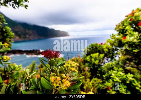 Beau paysage côtier du nord de Madère entre arbres fleuris et piscines naturelles dans le nord de Madère Portugal Banque D'Images