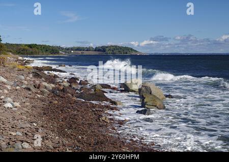 Rochers et vagues sur un littoral avec ciel bleu et végétation luxuriante en arrière-plan, Toensberg, Oslofjord, Norvège, Europe Banque D'Images