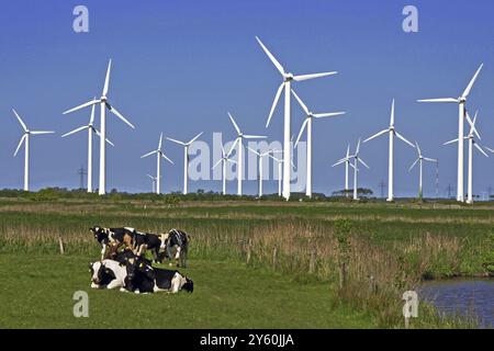 Éoliennes éolienne éolienne East Frisia éolienne devant les vaches dans le pâturage électricité énergie énergies alternatives Banque D'Images