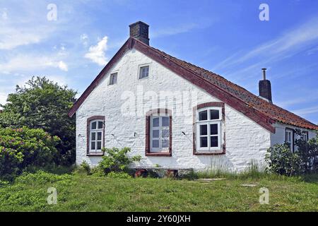 Île de Baltrum- ancienne Maison de pêcheur, Musée, Frise orientale, basse-Saxe, République fédérale d'Allemagne Banque D'Images