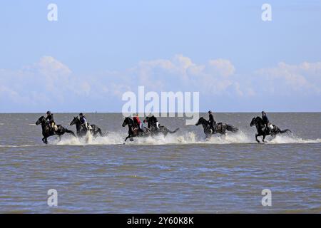 Six coureurs sur la plage de Schillig, Wangerland, basse-Saxe, République fédérale d'Allemagne, Frise orientale, basse-Saxe, République fédérale d'Allemagne Banque D'Images