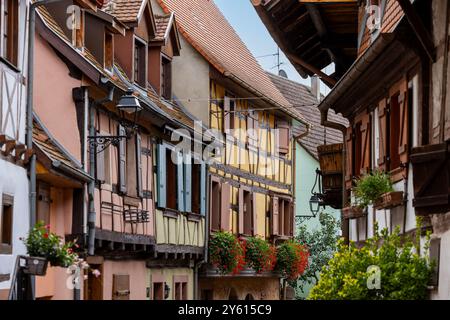 Vieilles maisons à colombages dans la vieille ville médiévale historique d'Eguisheim en Alsace et sur la route des vins d'Alsace, Haut-Rhin, Grand est, France, Europe Banque D'Images