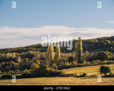 Magnifique paysage d'automne avec des collines vallonnées, des arbres vibrants et un ciel dégagé. Capture l'essence sereine et paisible de la nature pendant l'automne Banque D'Images