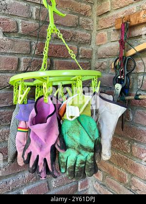 Des gants de jardinage colorés accrochent de manière compacte avec des pinces à linge sur un anneau vert néon, prêt pour la prochaine utilisation dans le jardin à la maison. Allemagne Banque D'Images