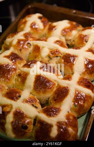 Petits pains croisés chauds fraîchement cuits sur une plaque à pâtisserie Banque D'Images