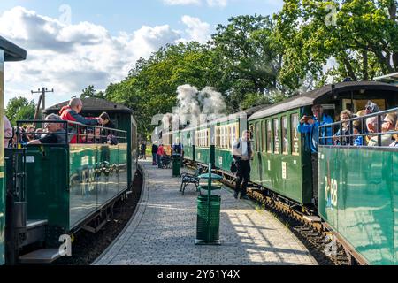 La liaison historique du train à vapeur avec le train à voie étroite appelé le Raging Roland, le Rügensche Bäderbahn, RüBB, ici la gare de Sellin Ost, Banque D'Images