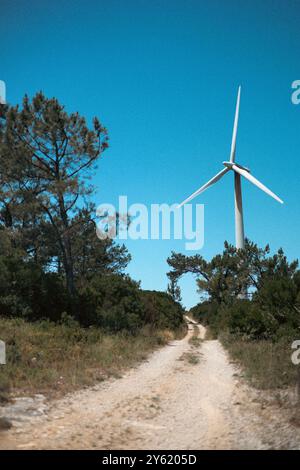 Une éolienne se tient haute contre un ciel bleu clair le long d'un chemin de terre entouré d'arbres et de verdure. Banque D'Images