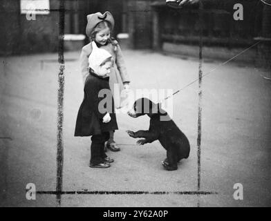 Deux petits visiteurs du zoo de Londres ont assuré à Sally, un ourson malaisien, qu'ils n'avaient pas dormi dans son lit. Sally, est nouvellement arrivé de Bornéo avec les frères Roger et Billy et est rapidement en train de voler la vedette (et les piqûres) d'eux. A Friendly Ways lui ont valu une sortie quotidienne sur une piste, où elle obtient un accueil chaleureux de jeunes visiteurs. 28 novembre 1947 Banque D'Images