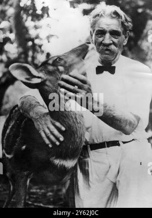 Dr Albert Schweitzer, chirurgien missionnaire de renommée mondiale et fondateur de l’hôpital de Lambarene. 30 septembre 1955 Albert Schweitzer (14 janvier 1875 - 4 septembre 1965) était un théologien, musicien, philosophe et médecin allemand. Il est né à Kaysersberg, haute-Alsace, Allemagne (aujourd'hui département du Haut-Rhin, France). Il a reçu le prix Nobel de la paix 1952 en 1953. Banque D'Images