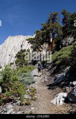 Un randonneur marchant sur High Sierra Trail sur le flanc de la montagne rocheuse. Banque D'Images